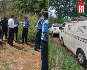 Descente de la MSAW dans un refuge
