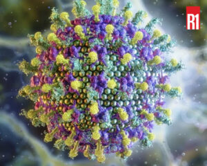 Virus Nipah