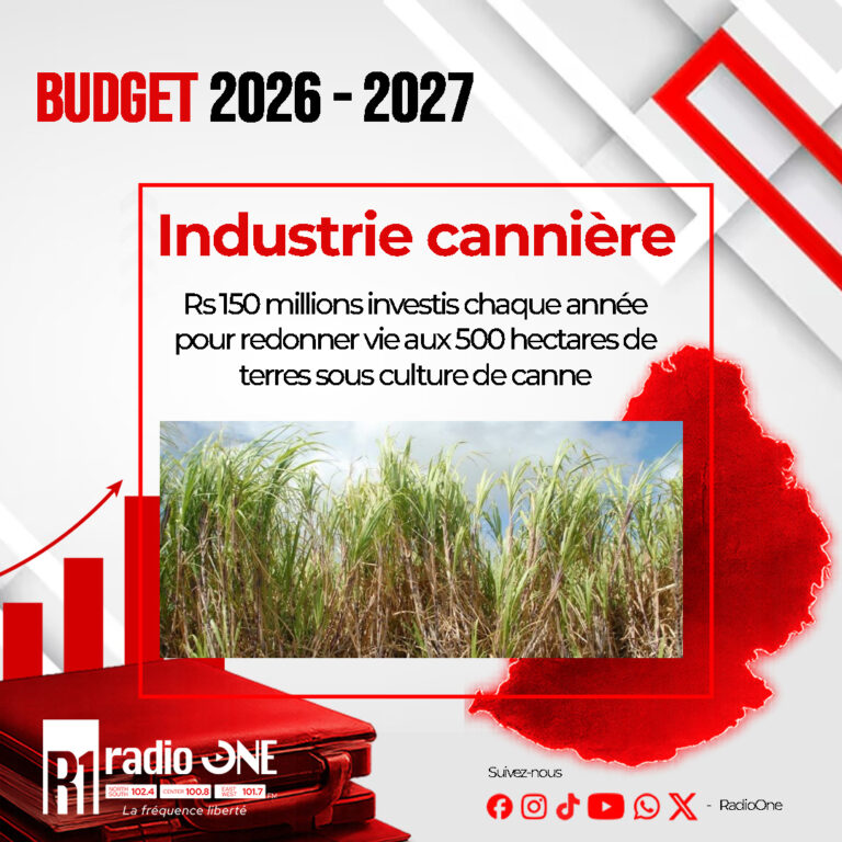 canne.jpg